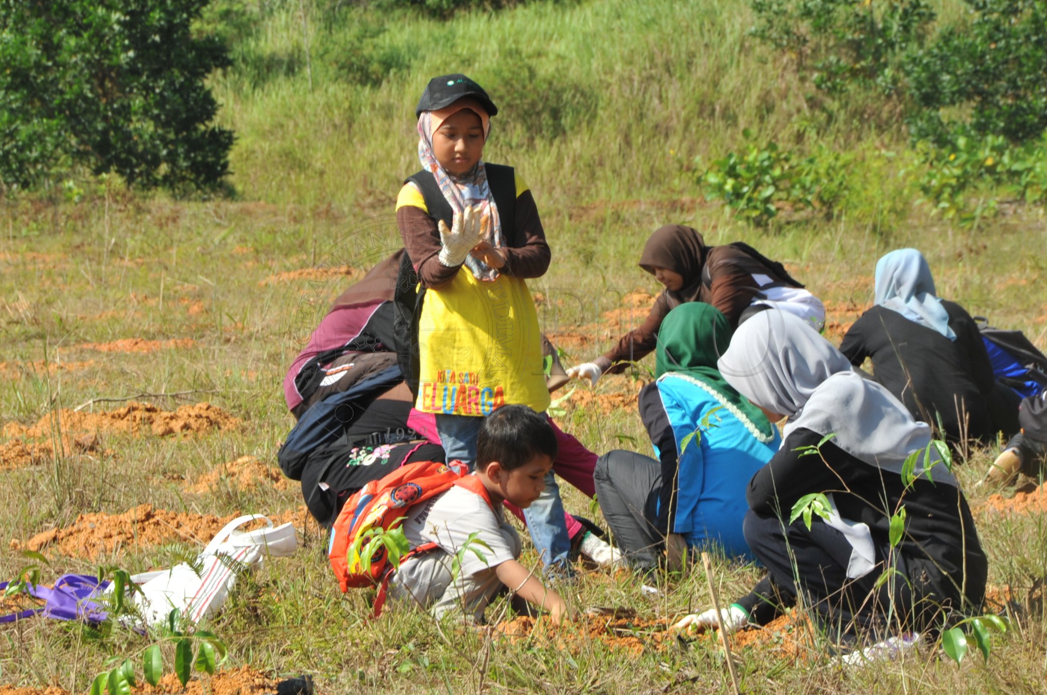 PRO 14 48 KARAS PRO 6777